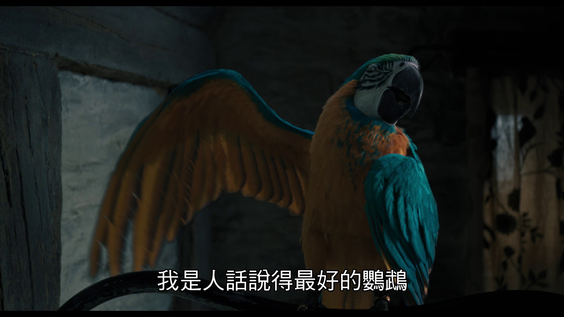 图片[3]-[BT下载][多力特的奇幻冒险][WEB-MKV/5.68GB][中文字幕][1080P][流媒体][DreamHD]-影音屋