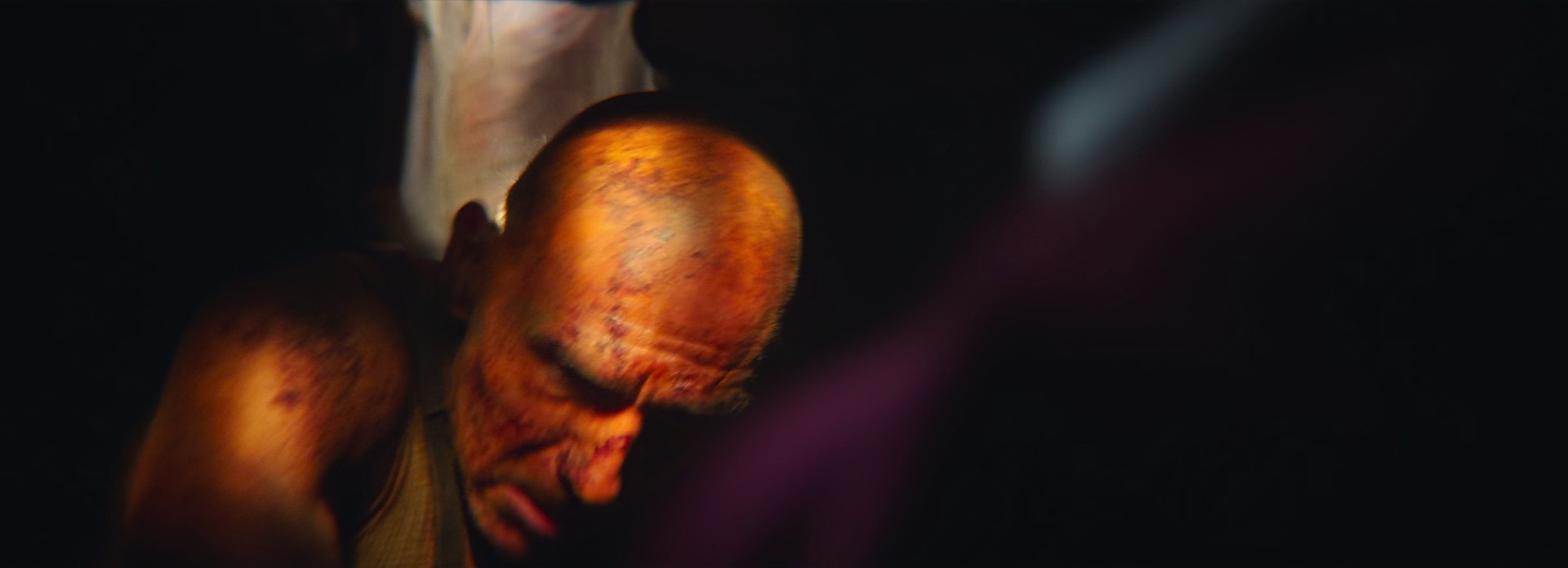 图片[7]-[BT下载][惊变28年][BD-MKV/6.56GB][中文字幕][1080P][H265编码][蓝光压制][CTRLHD]-影音屋