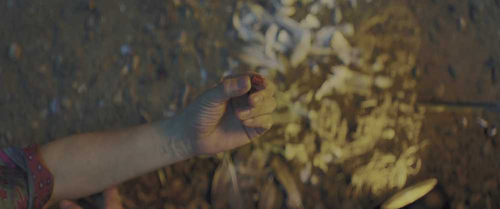 图片[6]-[BT下载][脱缰者也][WEB-MKV/3.91GB][国语配音/中文字幕][4K-2160P][60帧率][HDR版本][H265编码][流媒体][DreamHD]-影音屋