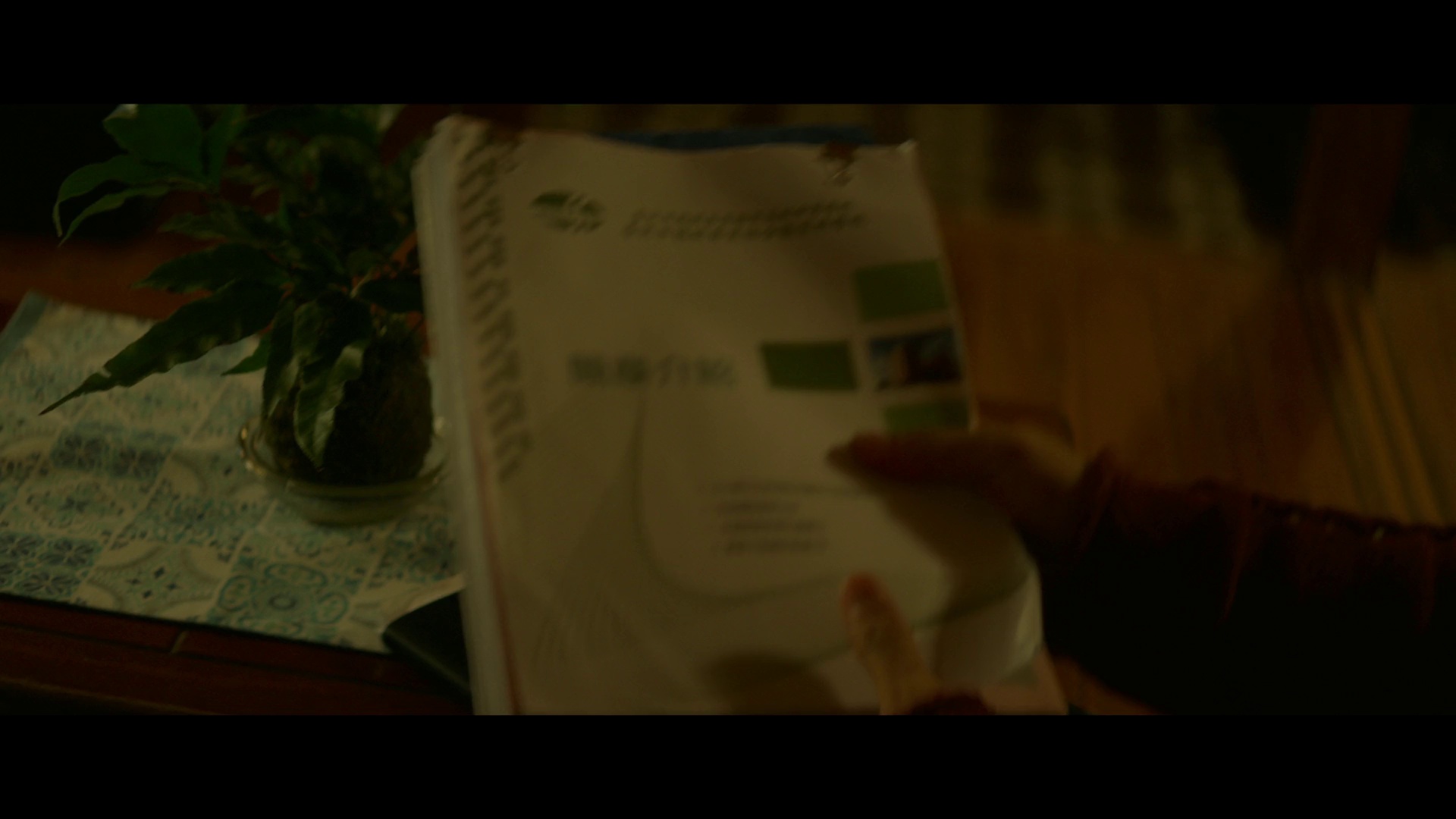 图片[6]-[BT下载][你的情歌][WEB-MKV/4.66GB][国语配音/中文字幕][1080P][流媒体][DreamHD]-影音屋