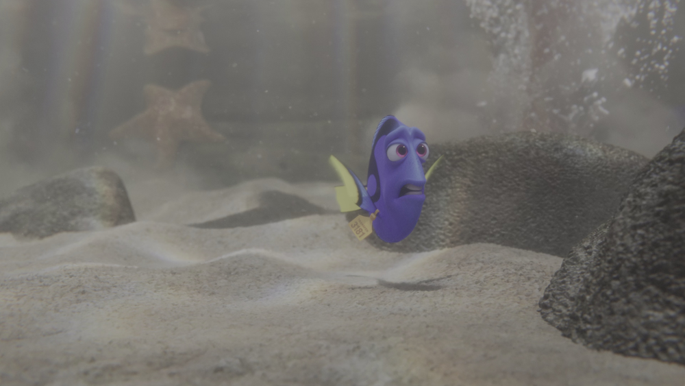 图片[4]-[BT下载][海底总动员2：多莉去哪儿][WEB-MKV/17.18GB][无字片源][4K-2160P][HDR版本][H265编码][流媒体][PandaQT]-影音屋