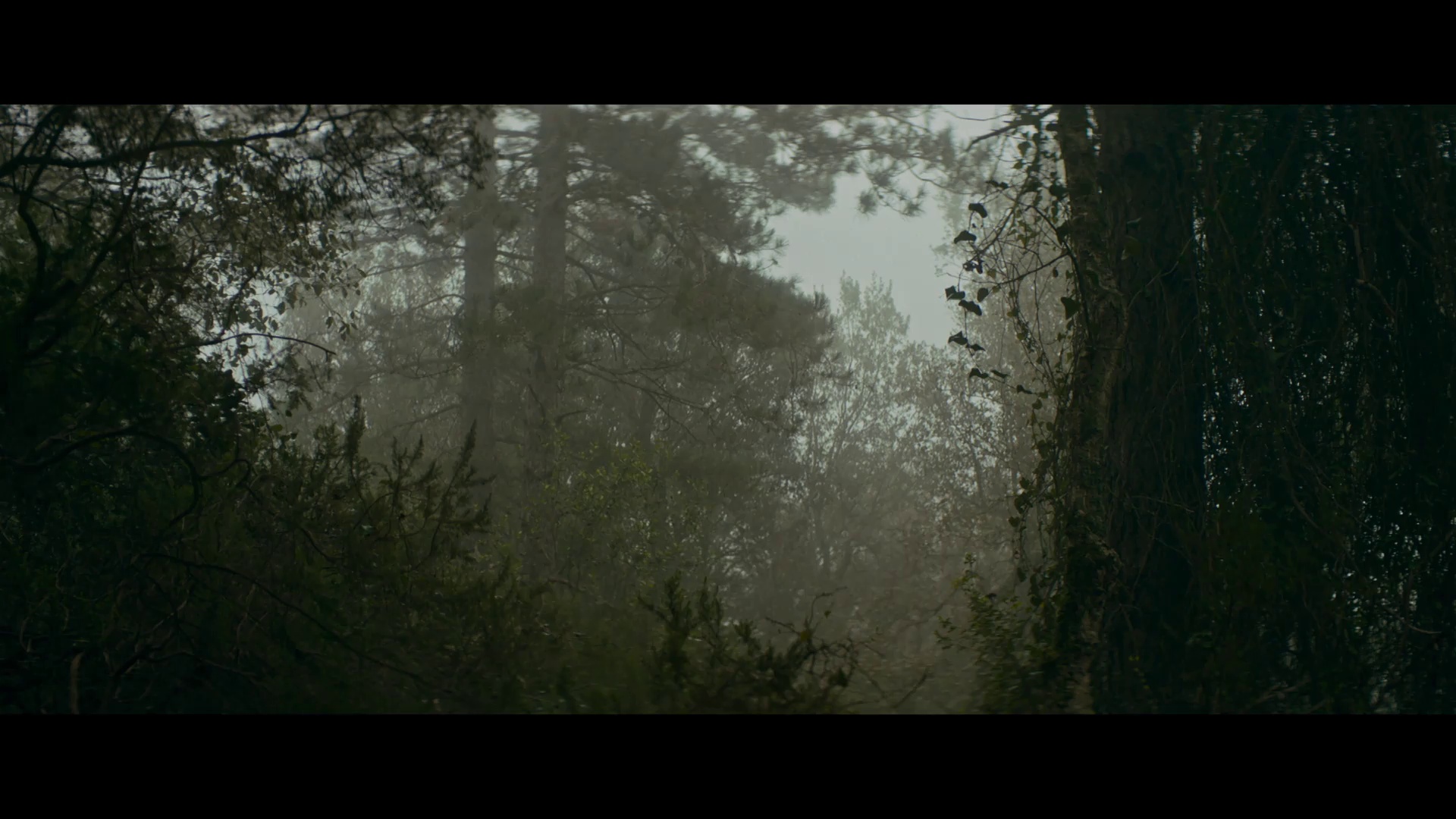 图片[4]-[BT下载][群山之后][WEB-MKV/1.15GB][简繁英字幕][1080P][流媒体][DreamHD]-影音屋