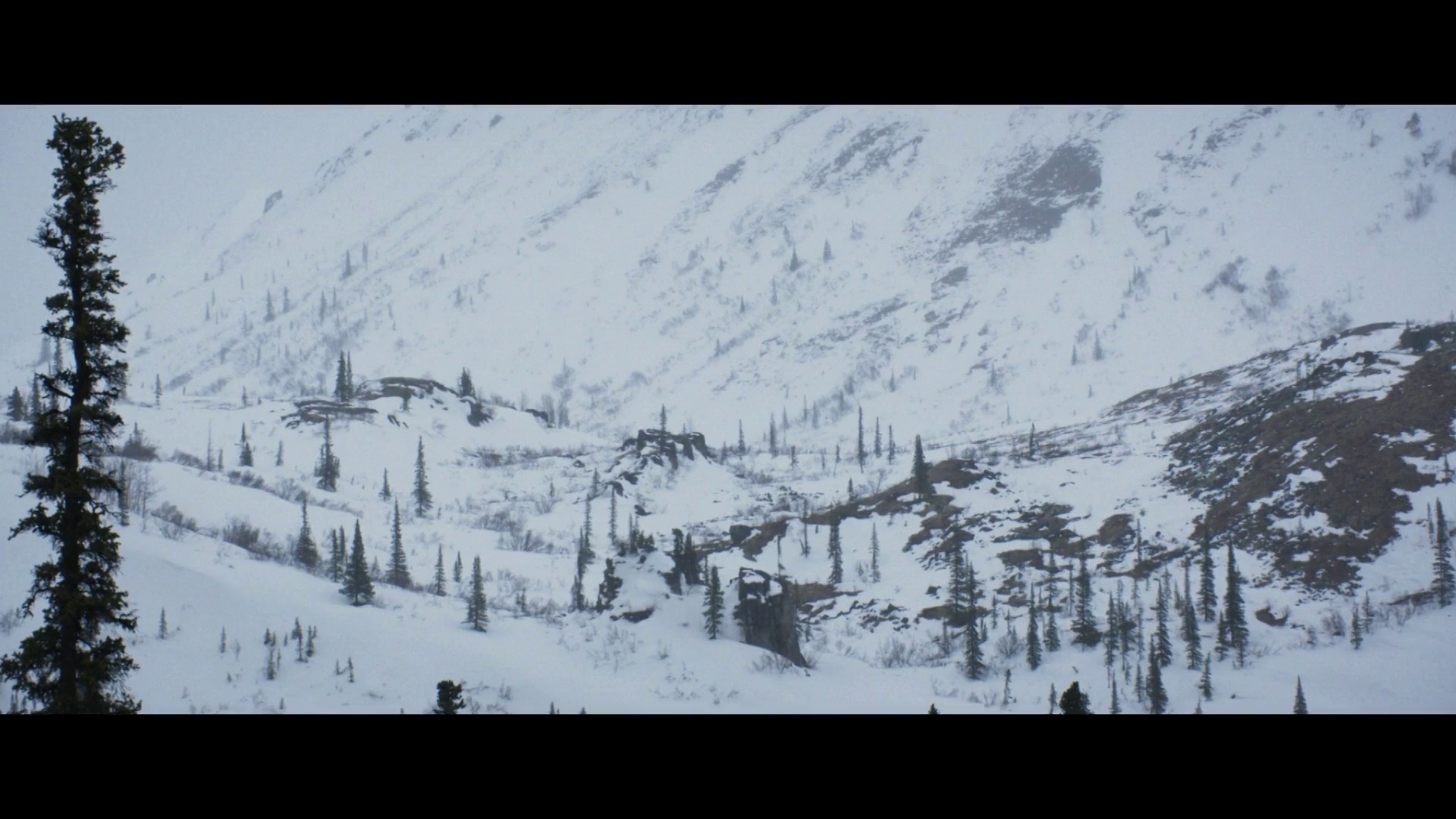 图片[7]-[BT下载][北极小迷狐吉娜&尤克][WEB-MKV/4.46GB][中文字幕][1080P][流媒体][DreamHD]-影音屋