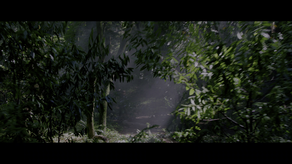 图片[7]-[BT下载][蒙上你的眼][WEB-MKV/10.14GB][简繁英字幕][4K-2160P][HDR版本][H265编码][流媒体][QuickIO]-影音屋