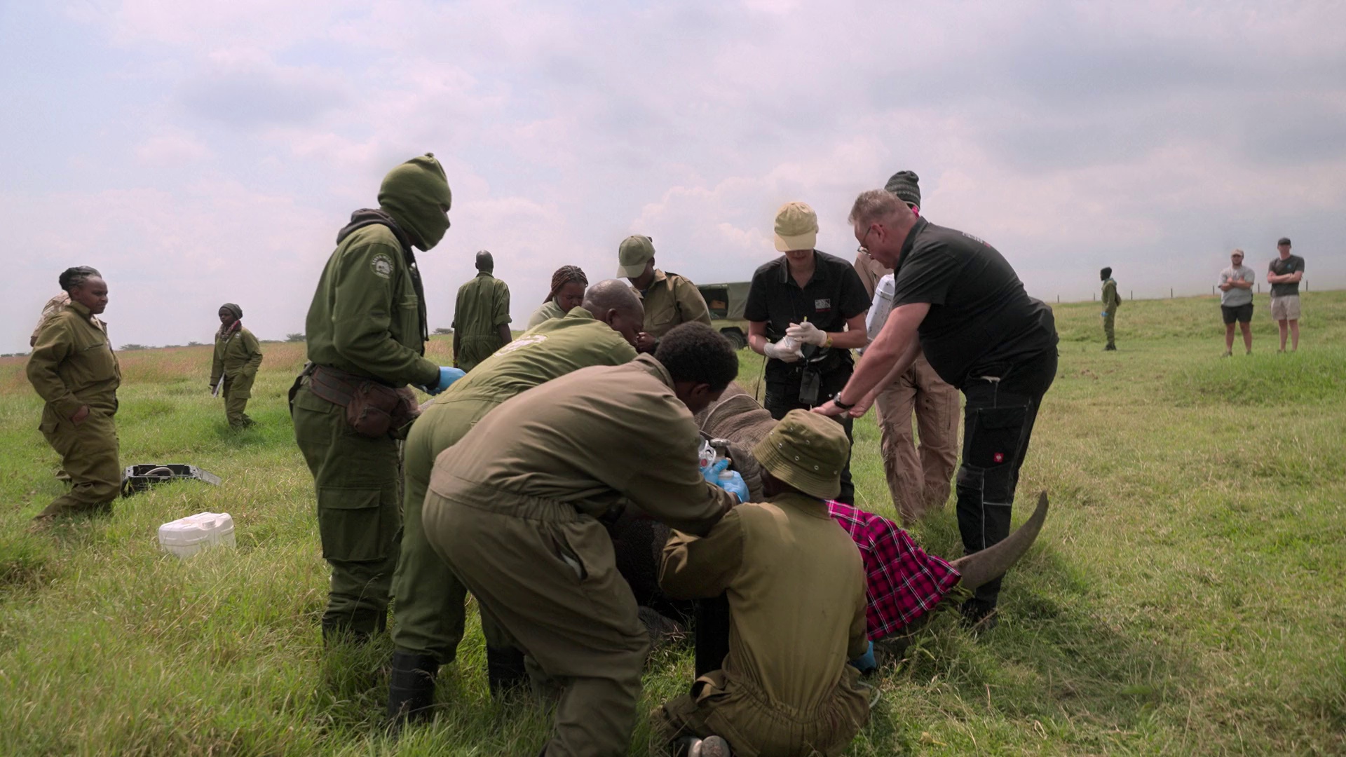 图片[7]-[BT下载][The.Last.Rhinos:.A.New.Hope][WEB-MKV/1.95GB][无字片源][1080P][流媒体][DreamHD]-影音屋