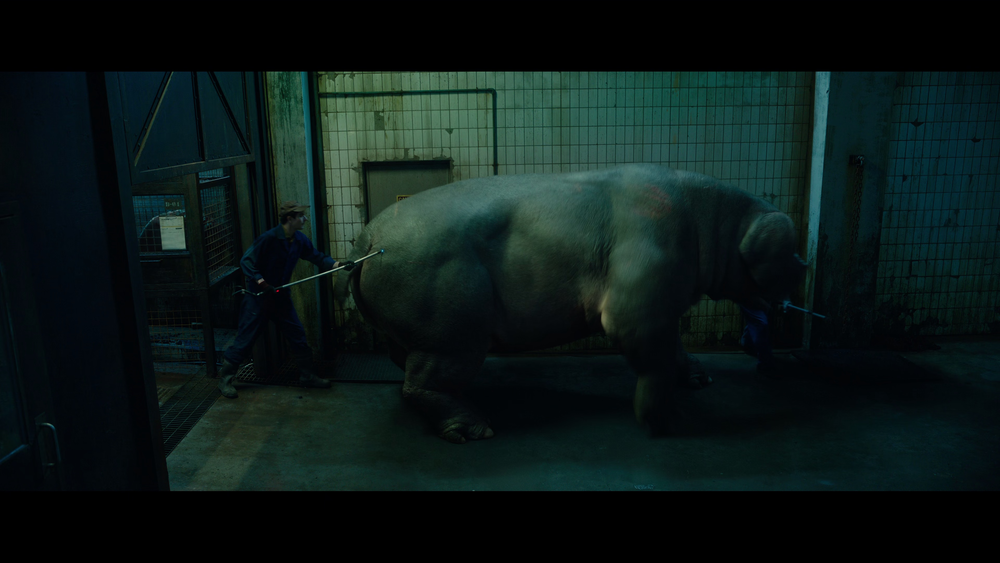 图片[5]-[BT下载][玉子][WEB-MKV/10.29GB][简繁英字幕][4K-2160P][H265编码][流媒体][QuickIO]-影音屋