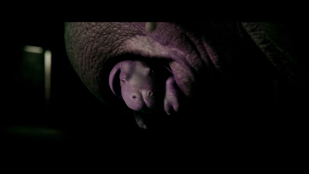 图片[7]-[BT下载][玉子][WEB-MKV/15.19GB][简繁英字幕][4K-2160P][杜比视界版本][H265编码][流媒体][QuickIO]-影音屋