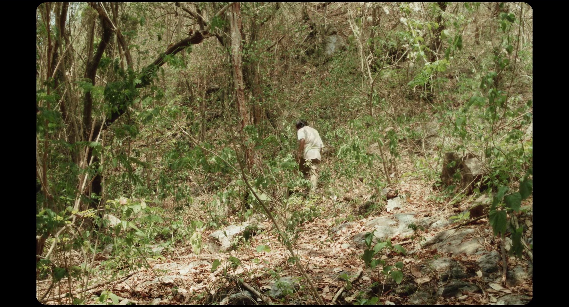 图片[7]-[BT下载][尤里卡][BD-MKV/9.28GB][简繁英字幕][1080P][H265编码][蓝光压制][DreamHD]-影音屋