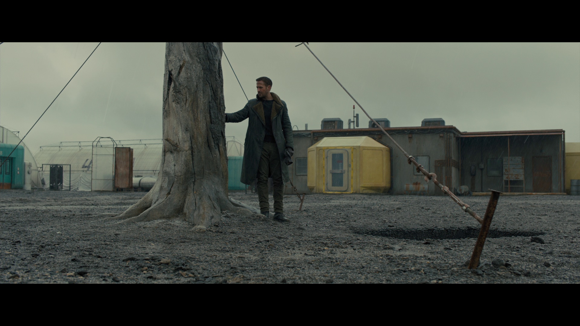 图片[3]-[BT下载][银翼杀手2049][WEB-MKV/9.73GB][简繁英字幕][1080P][流媒体][PandaQT]-影音屋