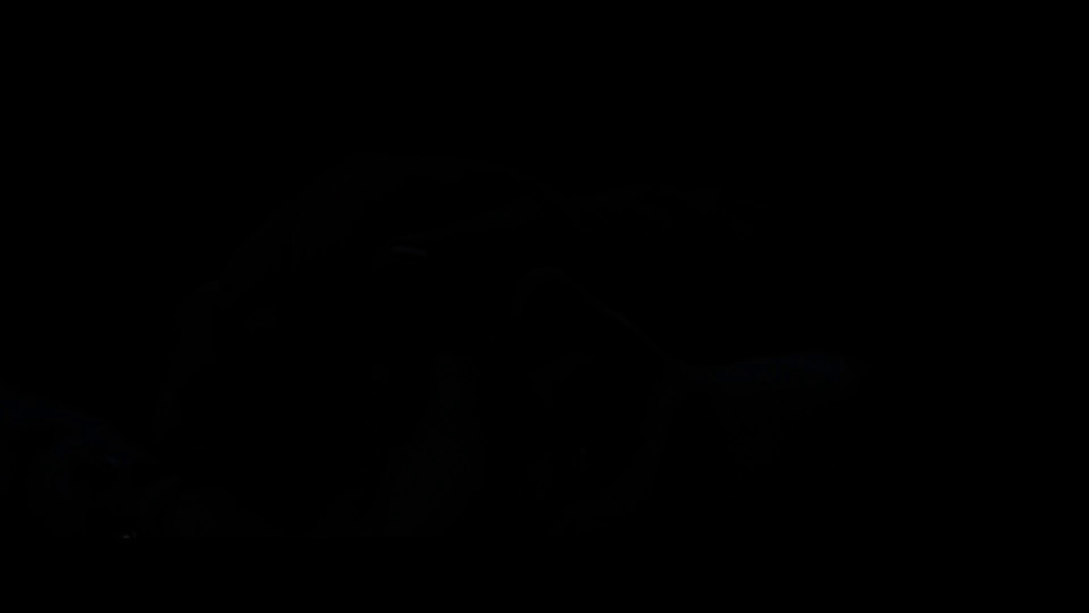 图片[5]-[BT下载][边境执行][BD-MP4/2.83GB][中文字幕][1080P][蓝光压制][DreamHD]-影音屋