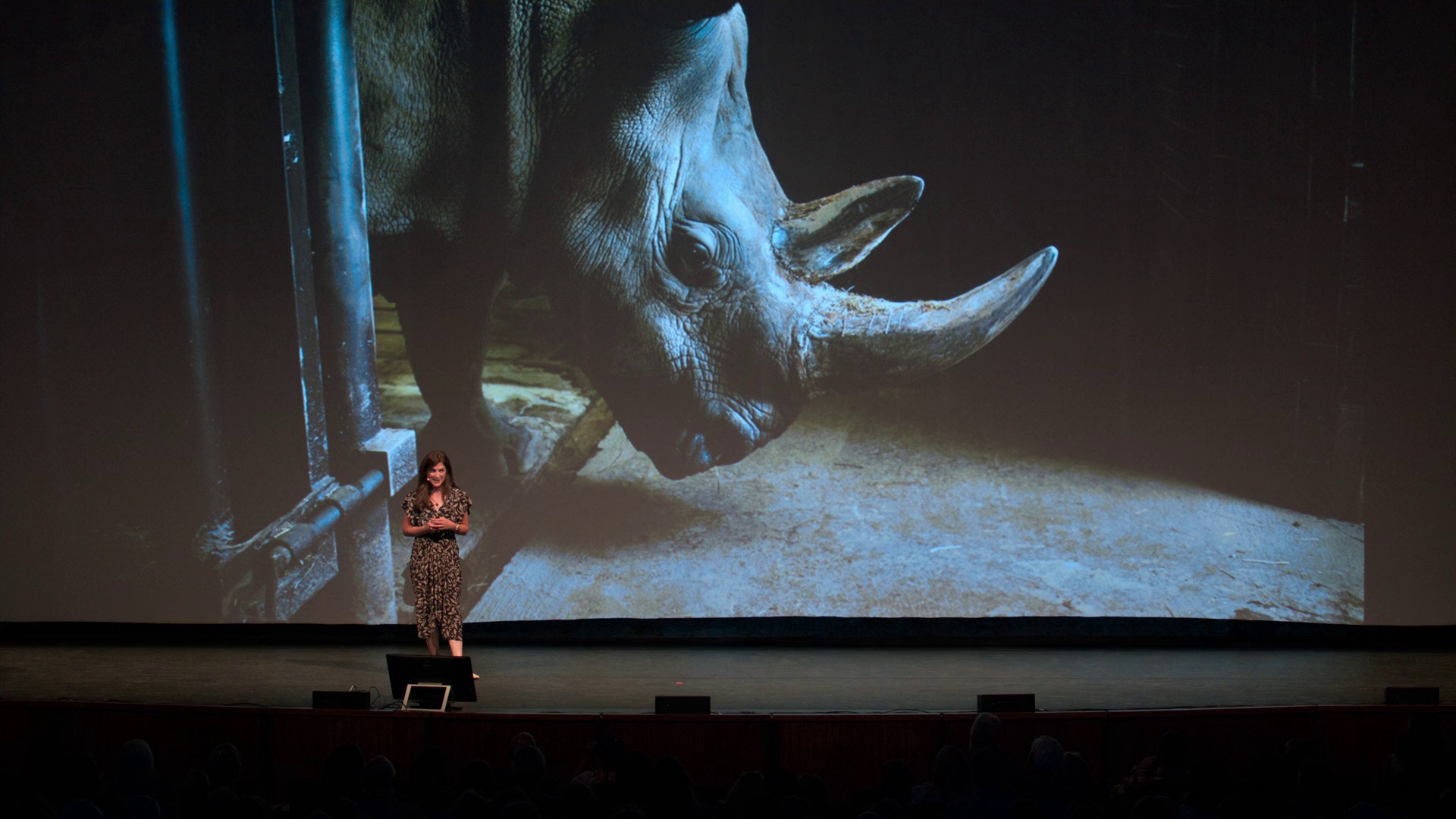 图片[3]-[BT下载][The.Last.Rhinos:.A.New.Hope][WEB-MKV/1.95GB][无字片源][1080P][流媒体][DreamHD]-影音屋