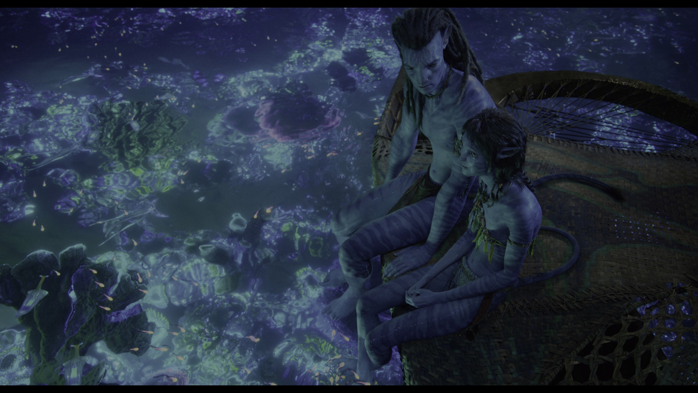 图片[4]-[BT下载][阿凡达：水之道][WEB-MKV/34.03GB][中文字幕][4K-2160P][HDR版本][H265编码][流媒体][PandaQT]-影音屋