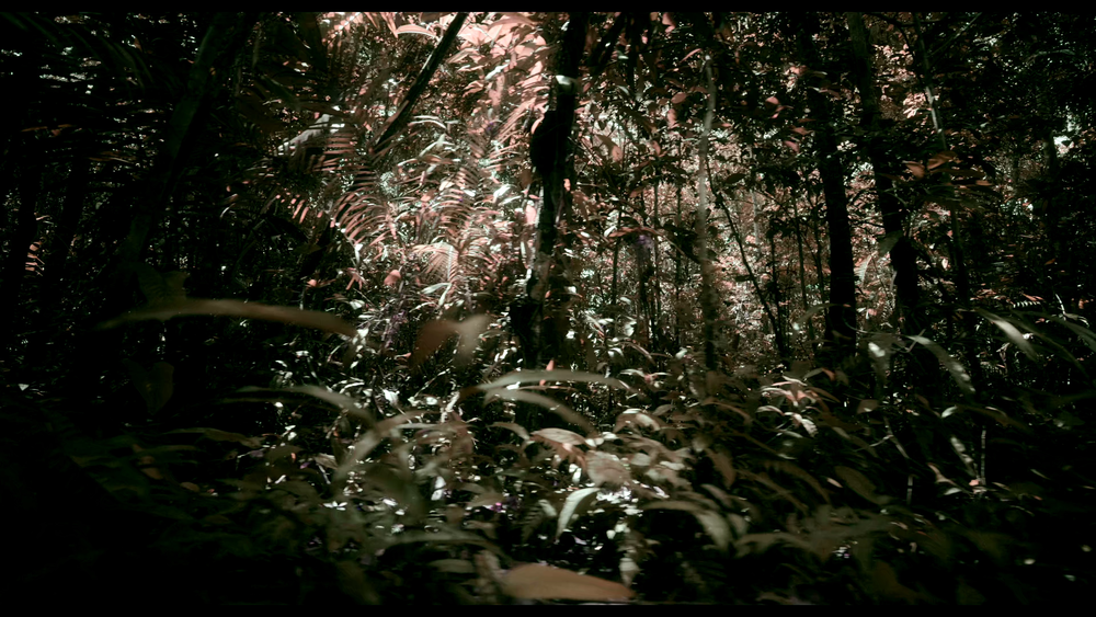 图片[5]-[BT下载][迷失丛林][WEB-MKV/11.00GB][简繁英字幕][4K-2160P][杜比视界版本][H265编码][流媒体][DreamHD]-影音屋