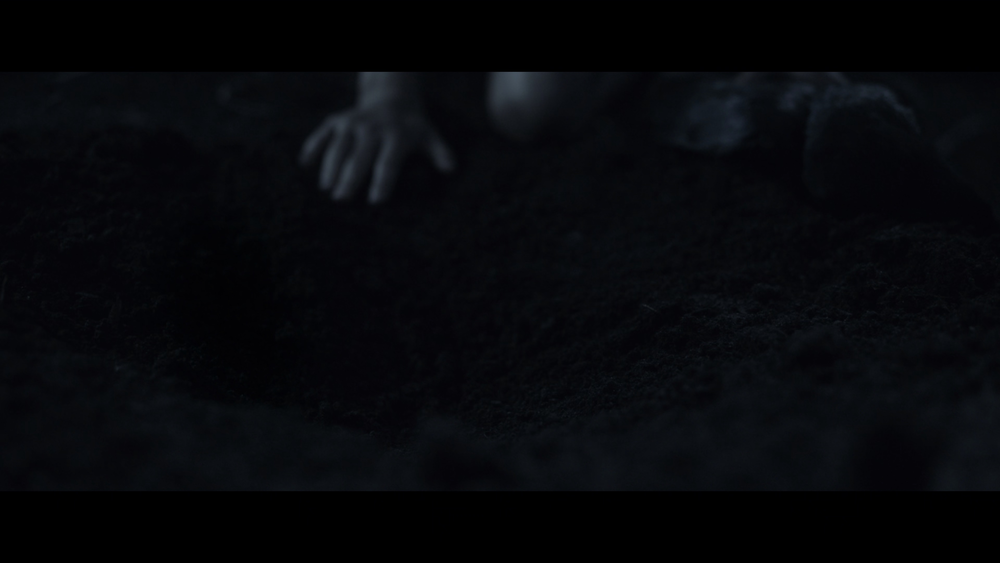 图片[2]-[BT下载][高草丛中][WEB-MKV/13.19GB][简繁英字幕][4K-2160P][HDR版本][H265编码][流媒体][QuickIO]-影音屋