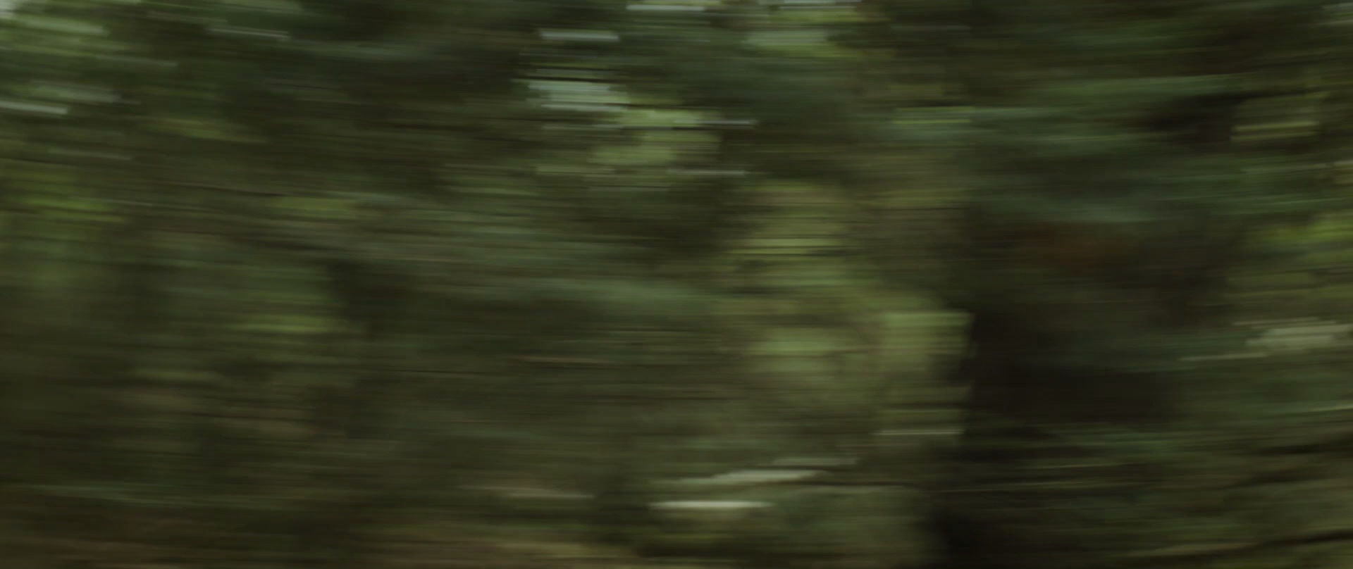 图片[3]-[BT下载][蜜谋逃杀][BD-MKV/5.24GB][简繁英字幕][1080P][H265编码][蓝光压制][CTRLHD]-影音屋