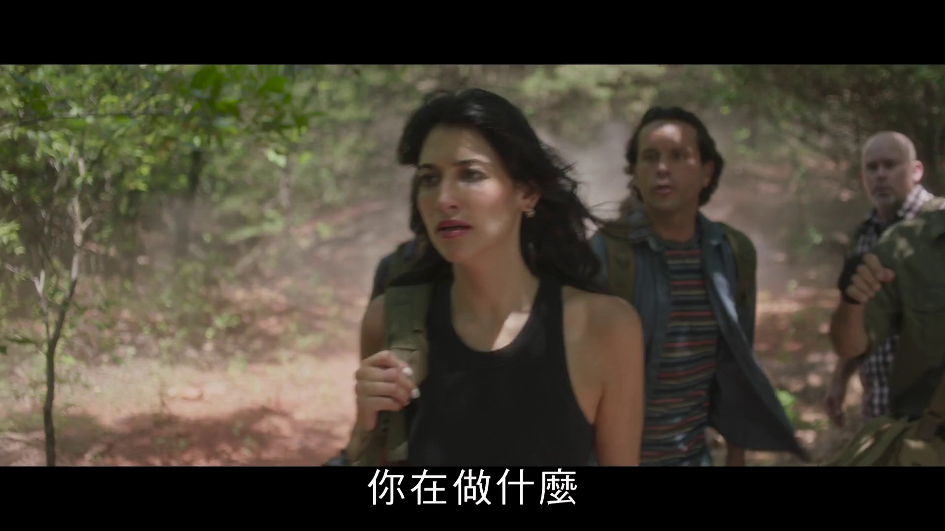 图片[4]-[BT下载][侏罗纪宠物历险记：重返野外][WEB-MKV/4.52GB][中文字幕][1080P][流媒体][DreamHD]-影音屋