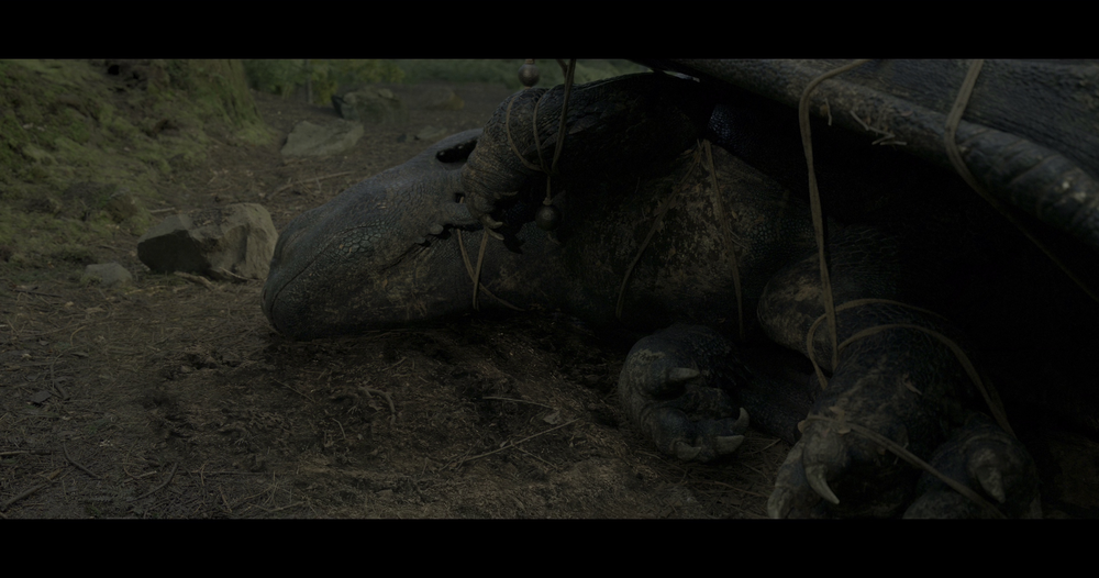 图片[2]-[BT下载][新·驯龙高手][BD-MKV/24.41GB][国英多音轨/特效中文字幕][4K-2160P][HDR+杜比视界双版本][H265编码][蓝光压制][Dream-影音屋