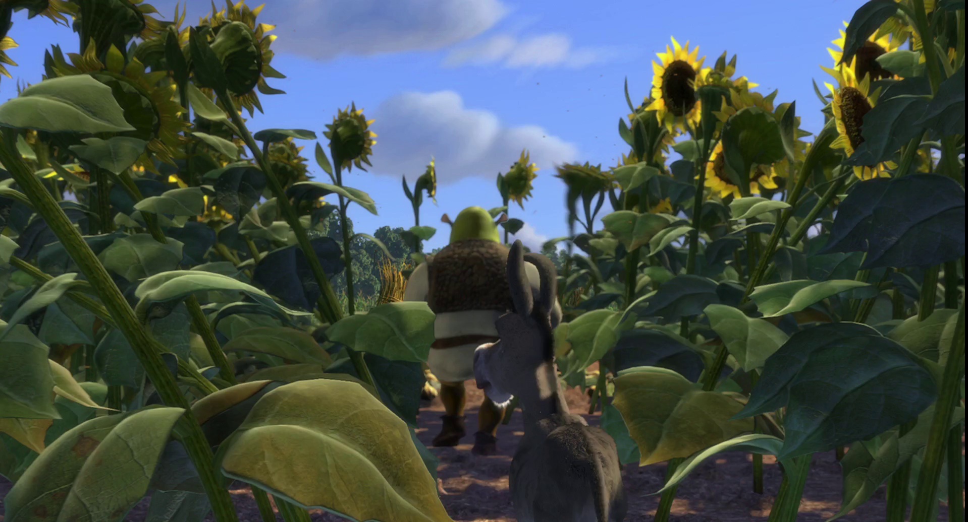 图片[3]-[BT下载][怪物史瑞克][WEB-MKV/4.81GB][国英多音轨/简繁英字幕][1080P][流媒体][PandaQT]-影音屋