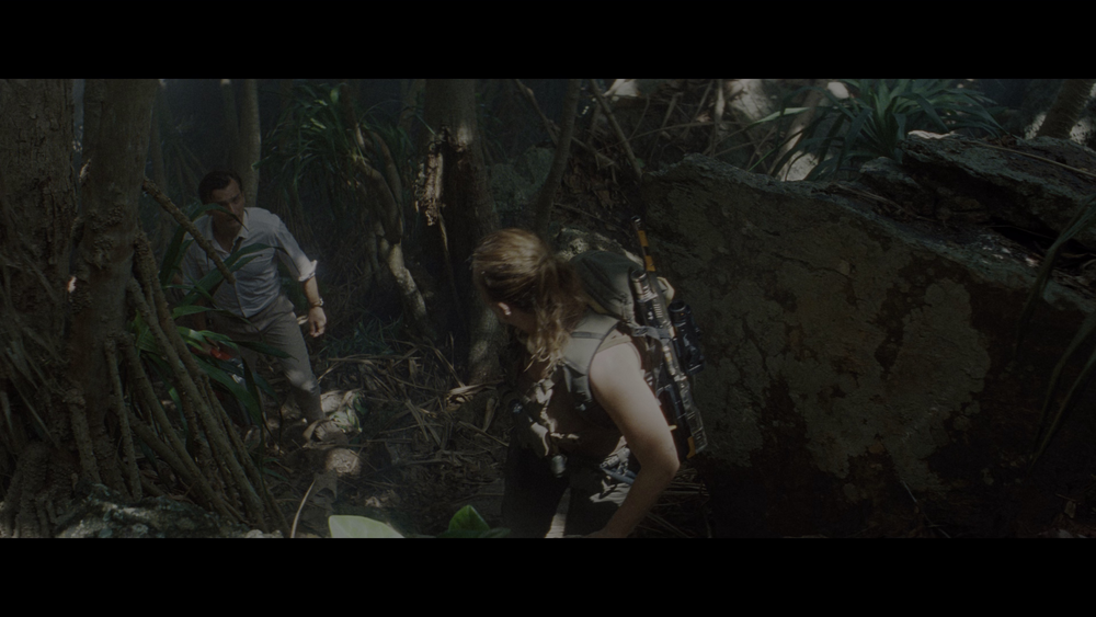 图片[4]-[BT下载][侏罗纪世界：重生][WEB-MKV/23.37GB][中文字幕][4K-2160P][HDR版本][H265编码][流媒体][PandaQT]-影音屋