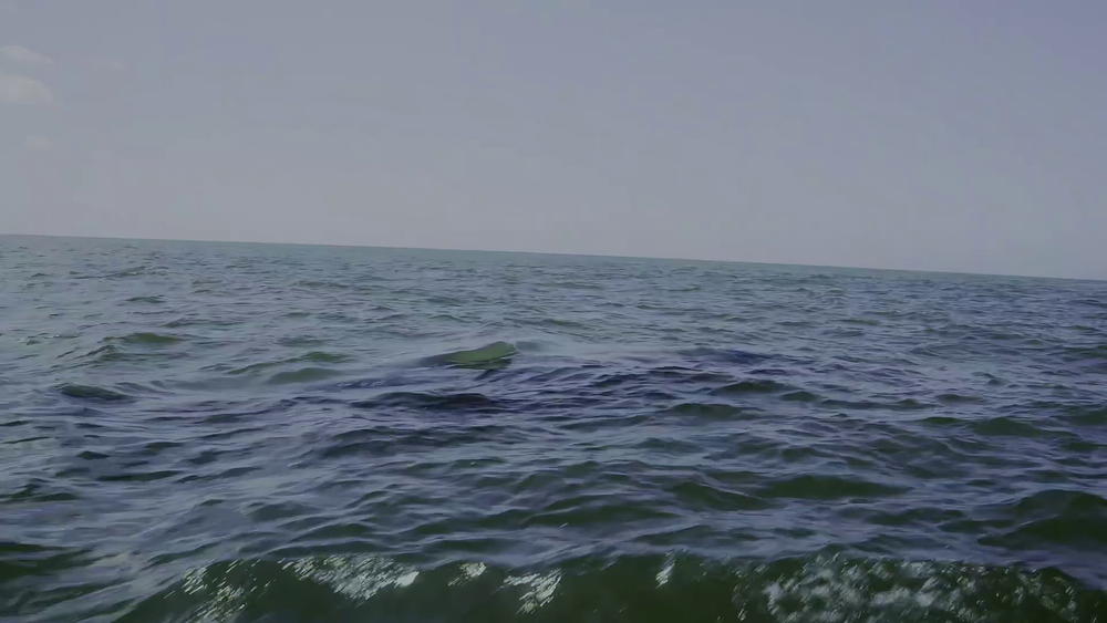 图片[2]-[BT下载][狂野太平洋][WEB-MP4/1.34GB][中文字幕][4K-2160P][H265编码][流媒体][PandaQT]-影音屋