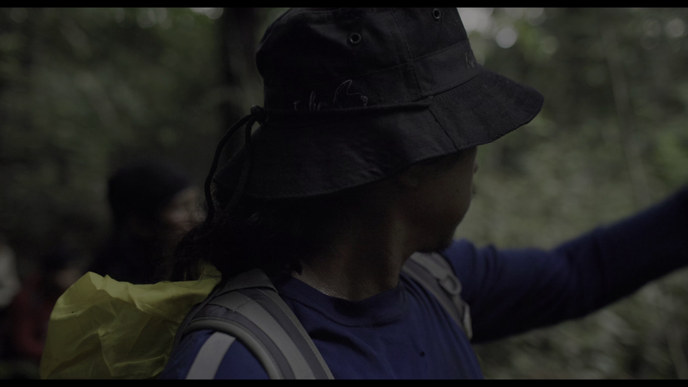 图片[3]-[BT下载][迷失丛林][WEB-MKV/10.03GB][简繁英字幕][4K-2160P][HDR版本][H265编码][流媒体][DreamHD]-影音屋