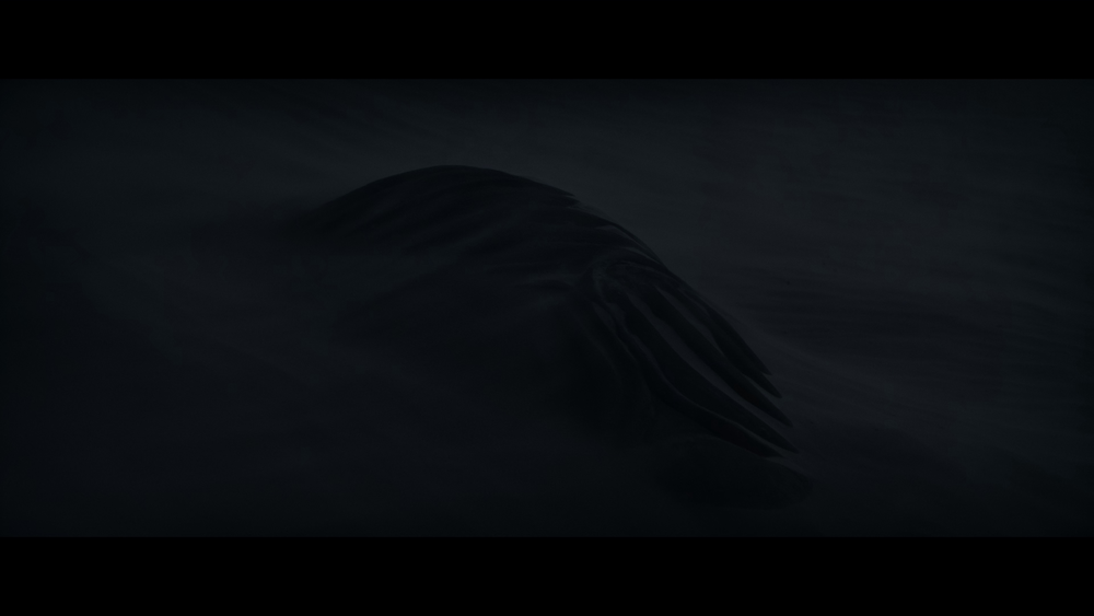 图片[5]-[BT下载][沙丘][WEB-MKV/27.55GB][简繁英字幕][4K-2160P][H265编码][流媒体][PandaQT]-影音屋