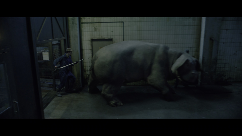 图片[5]-[BT下载][玉子][WEB-MKV/8.22GB][简繁英字幕][4K-2160P][HDR版本][H265编码][流媒体][QuickIO]-影音屋