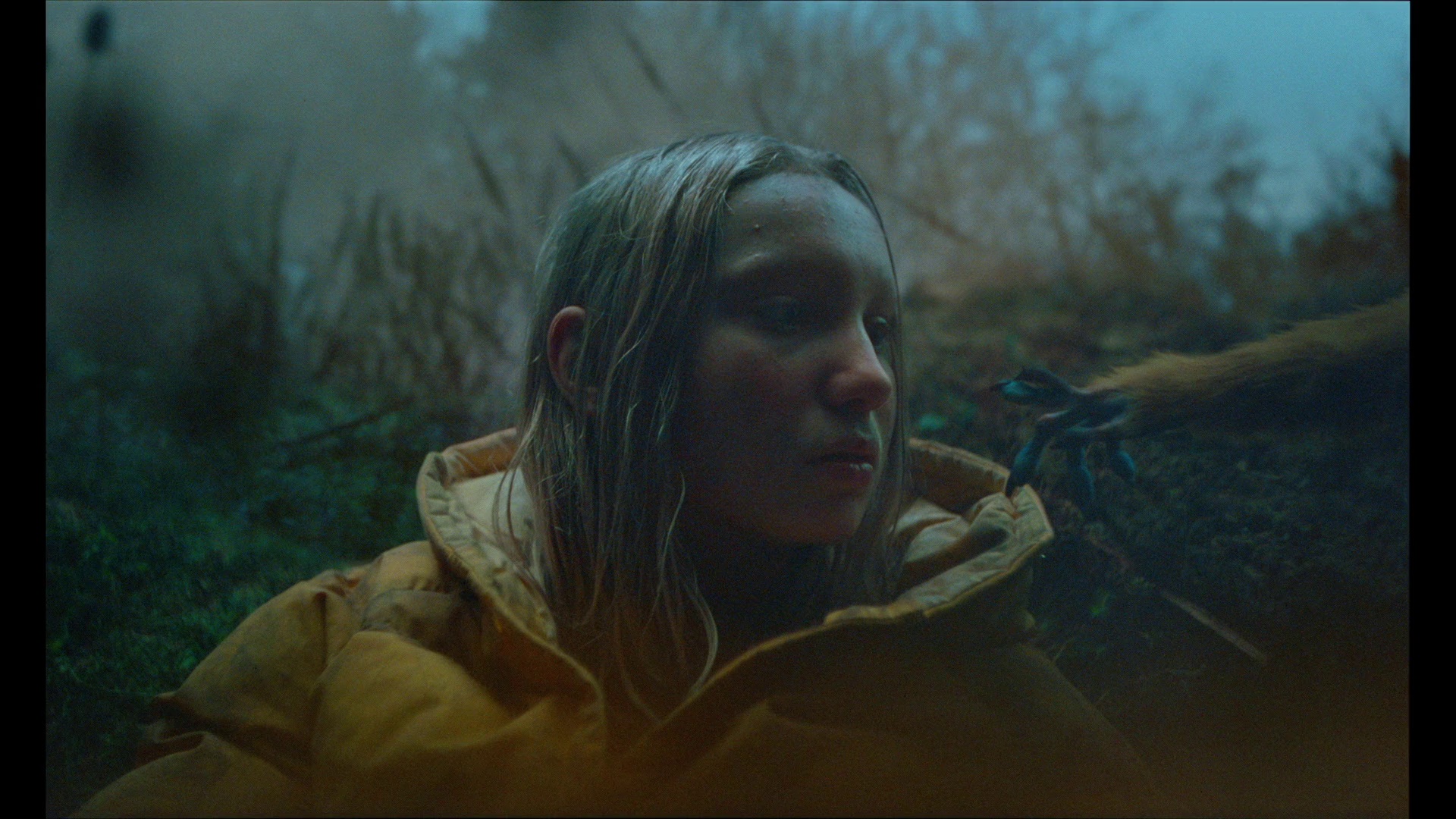 图片[4]-[BT下载][奥奇传说][WEB-MKV/6.95GB][无字片源][1080P][流媒体][PandaQT]-影音屋