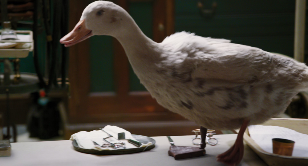 图片[2]-[BT下载][多力特的奇幻冒险][WEB-MKV/9.52GB][国英多音轨/简繁英字幕][4K-2160P][H265编码][流媒体][PandaQT]-影音屋