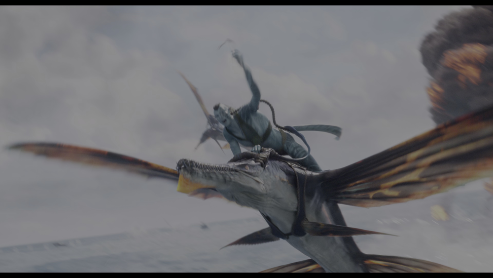 图片[6]-[BT下载][阿凡达：水之道][WEB-MKV/34.03GB][中文字幕][4K-2160P][HDR版本][H265编码][流媒体][PandaQT]-影音屋