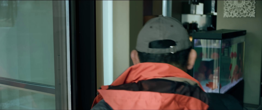 图片[2]-[BT下载][绑架毛乎乎][WEB-MP4/2.26GB][国语配音/中文字幕][4K-2160P][H265编码][流媒体][QuickIO]-影音屋