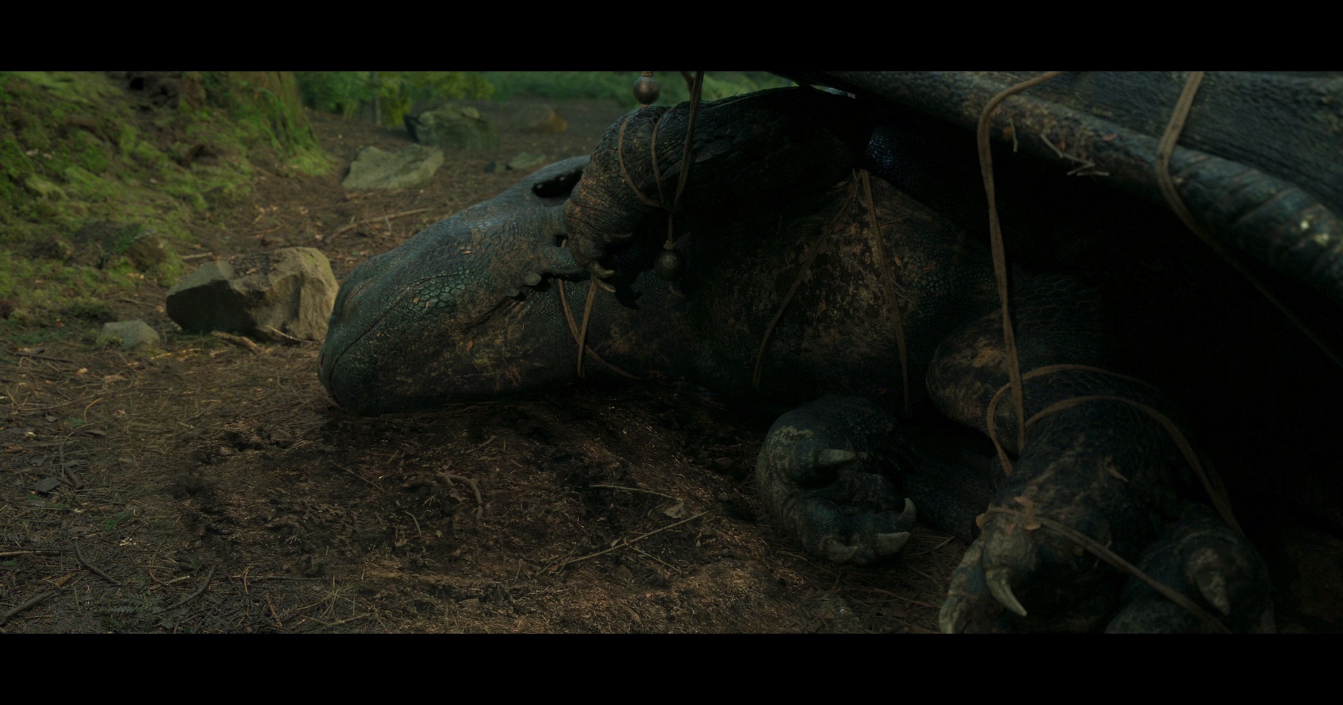 图片[2]-[BT下载][新·驯龙高手][BD-MKV/10.24GB][简繁英字幕][1080P][H265编码][蓝光压制][CTRLHD]-影音屋