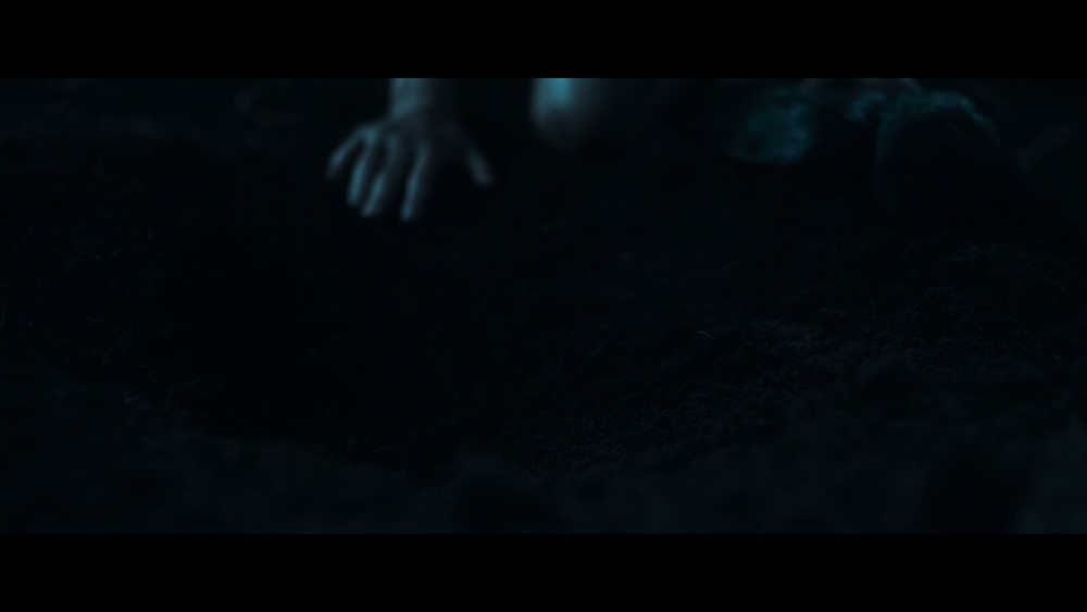 图片[2]-[BT下载][高草丛中][WEB-MKV/13.29GB][简繁英字幕][4K-2160P][H265编码][流媒体][QuickIO]-影音屋