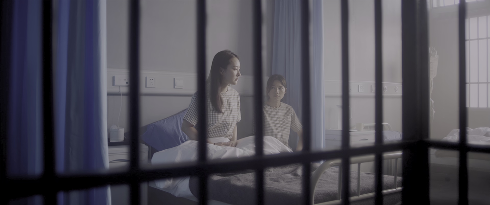 图片[6]-[BT下载][女囚风暴1995][WEB-MKV/4.73GB][国语配音/中文字幕][4K-2160P][HDR版本][H265编码][流媒体][PandaQT]-影音屋