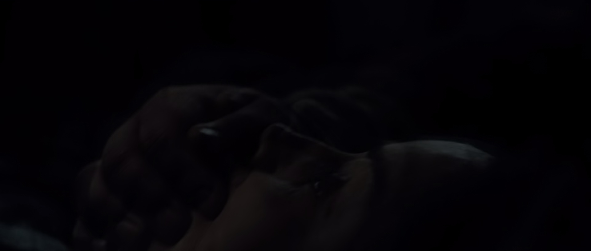 图片[5]-[BT下载][边境执行][BD-MKV/5.18GB][简繁英字幕][1080P][H265编码][蓝光压制][DreamHD]-影音屋