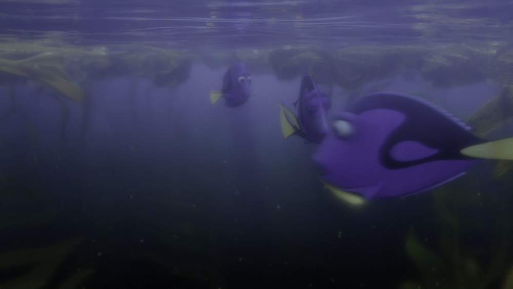 图片[6]-[BT下载][海底总动员2：多莉去哪儿][WEB-MKV/17.18GB][无字片源][4K-2160P][HDR版本][H265编码][流媒体][PandaQT]-影音屋