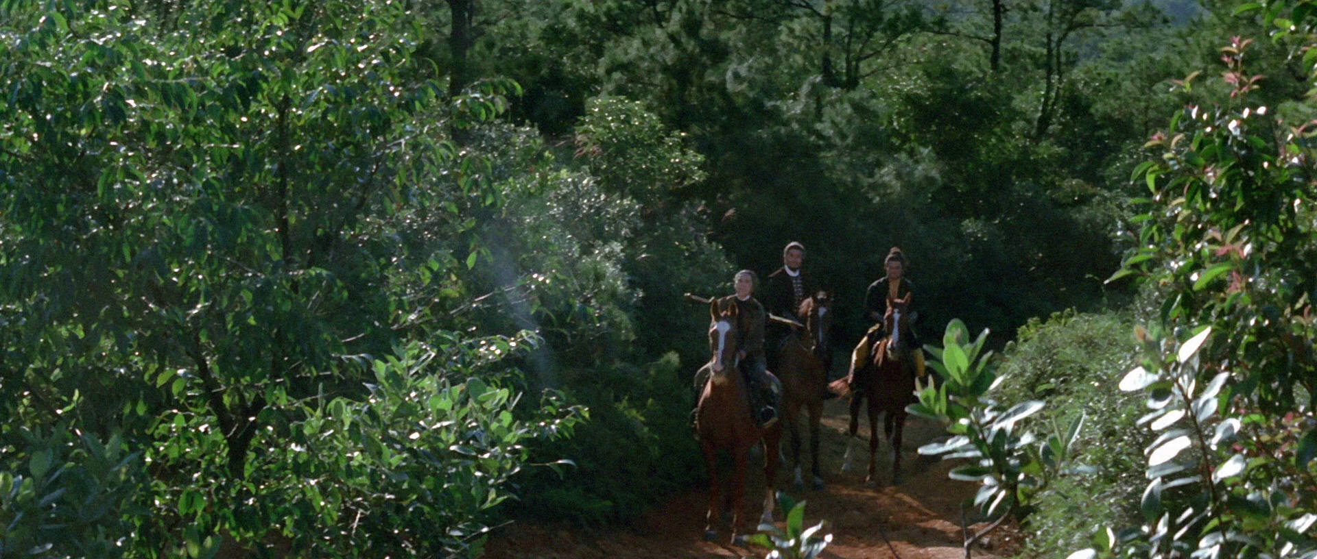 图片[6]-[BT下载][凤飞飞][BD-MKV/11.16GB][国语配音/中文字幕][1080P][蓝光压制][DreamHD]-影音屋