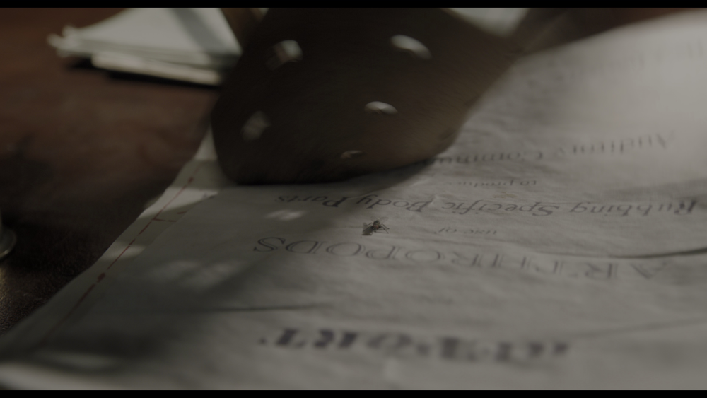 图片[4]-[BT下载][多力特的奇幻冒险][WEB-MKV/17.79GB][中文字幕][4K-2160P][HDR版本][H265编码][流媒体][PandaQT]-影音屋