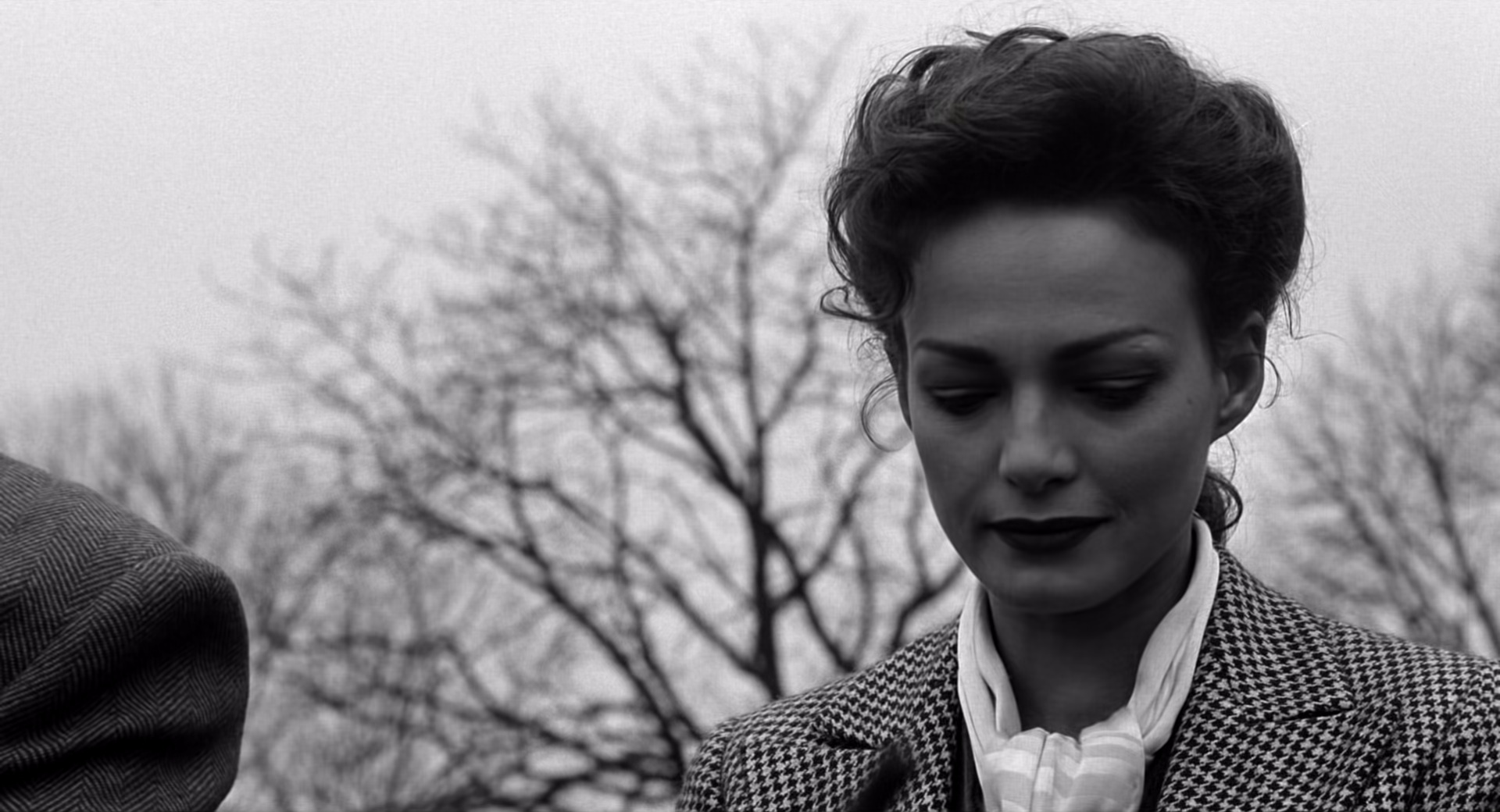 图片[3]-[BT下载][辛德勒的名单][BD-MKV/21.39GB][国英多音轨/特效中文字幕][1080P][H265编码][蓝光压制][DreamHD]-影音屋