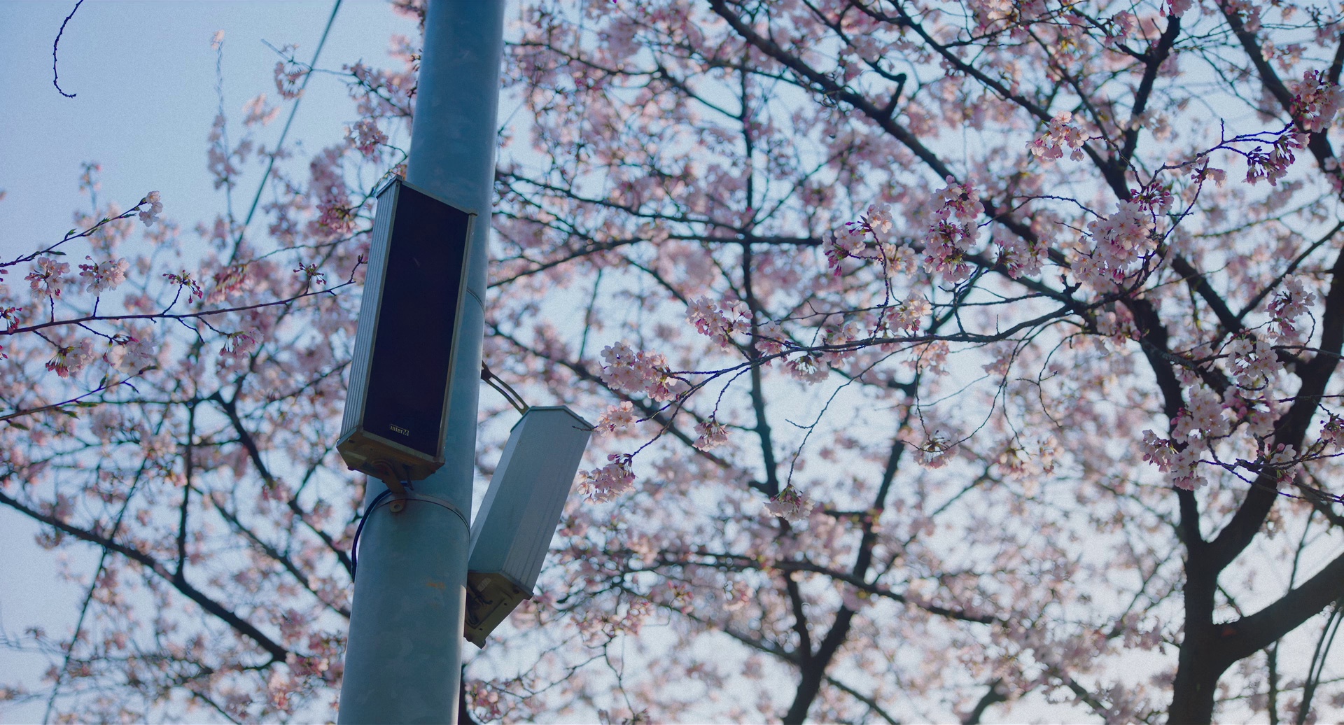 图片[4]-[BT下载][柳烈的音乐专辑][BD-MKV/14.17GB][简繁英字幕][1080P][蓝光压制][CTRLHD]-影音屋