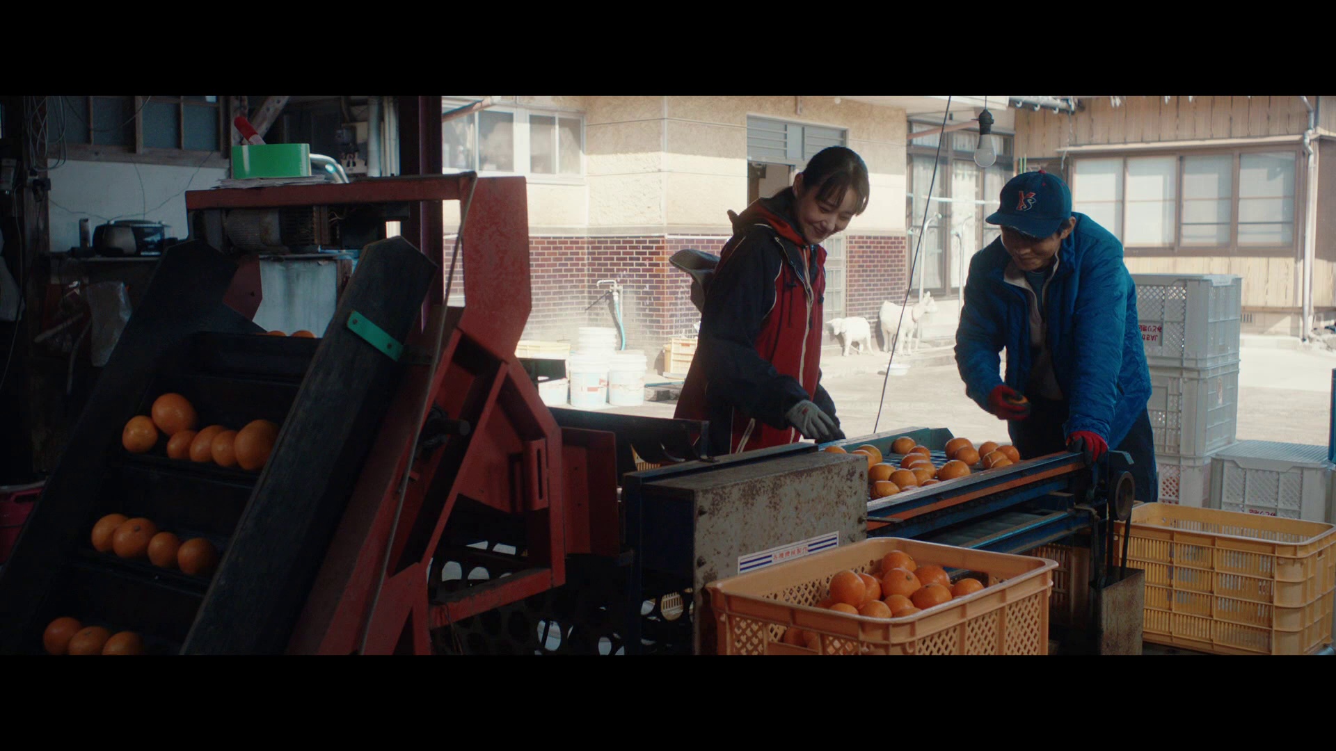 图片[6]-[BT下载][傲慢与善良][WEB-MKV/8.11GB][无字片源][1080P][流媒体][PandaQT]-影音屋