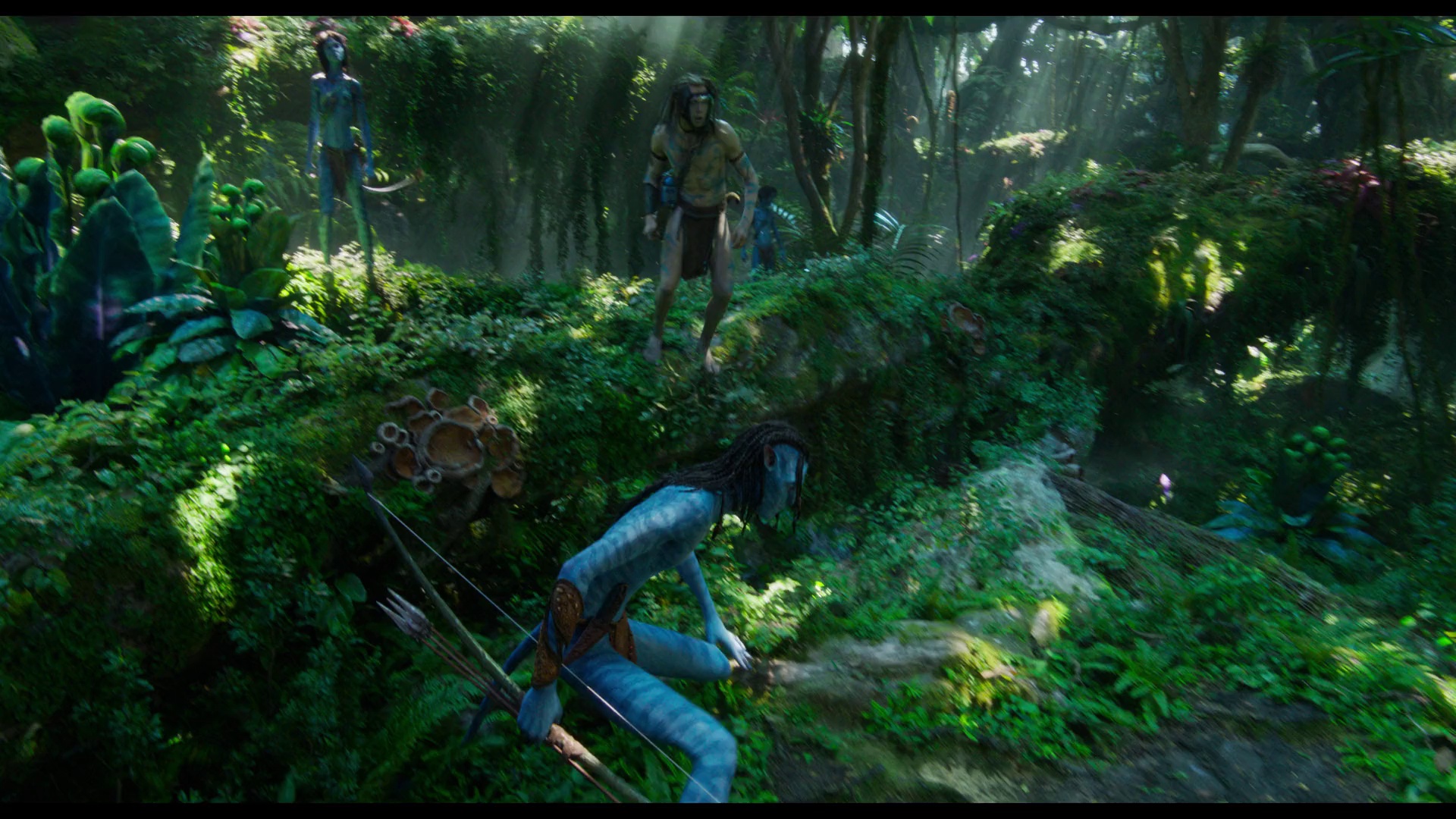 图片[2]-[BT下载][阿凡达：水之道][WEB-MKV/11.52GB][中文字幕][1080P][流媒体][PandaQT]-影音屋