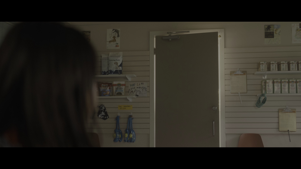 图片[3]-[BT下载][星际宝贝史迪奇][WEB-MKV/10.81GB][国英多音轨/简繁英字幕][4K-2160P][HDR版本][H265编码][流媒体][PandaQT]-影音屋