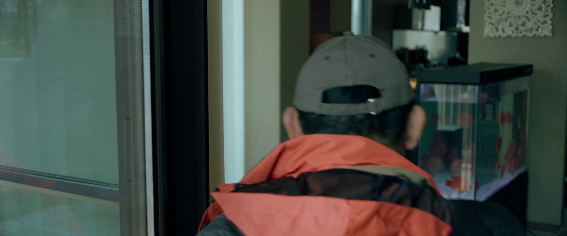 图片[2]-[BT下载][绑架毛乎乎][WEB-MP4/1.46GB][国语配音/中文字幕][1080P][流媒体][QuickIO]-影音屋