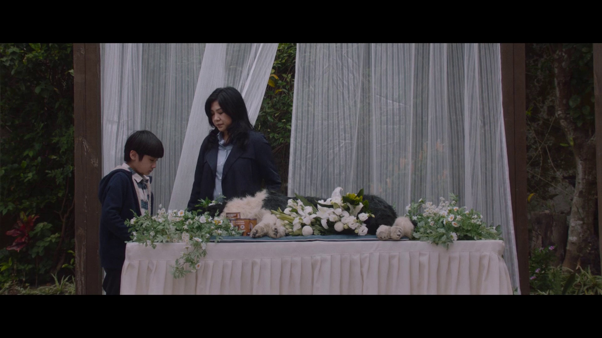 图片[7]-[BT下载][得宠先生][WEB-MKV/6.02GB][国语配音/中文字幕][1080P][流媒体][DreamHD]-影音屋