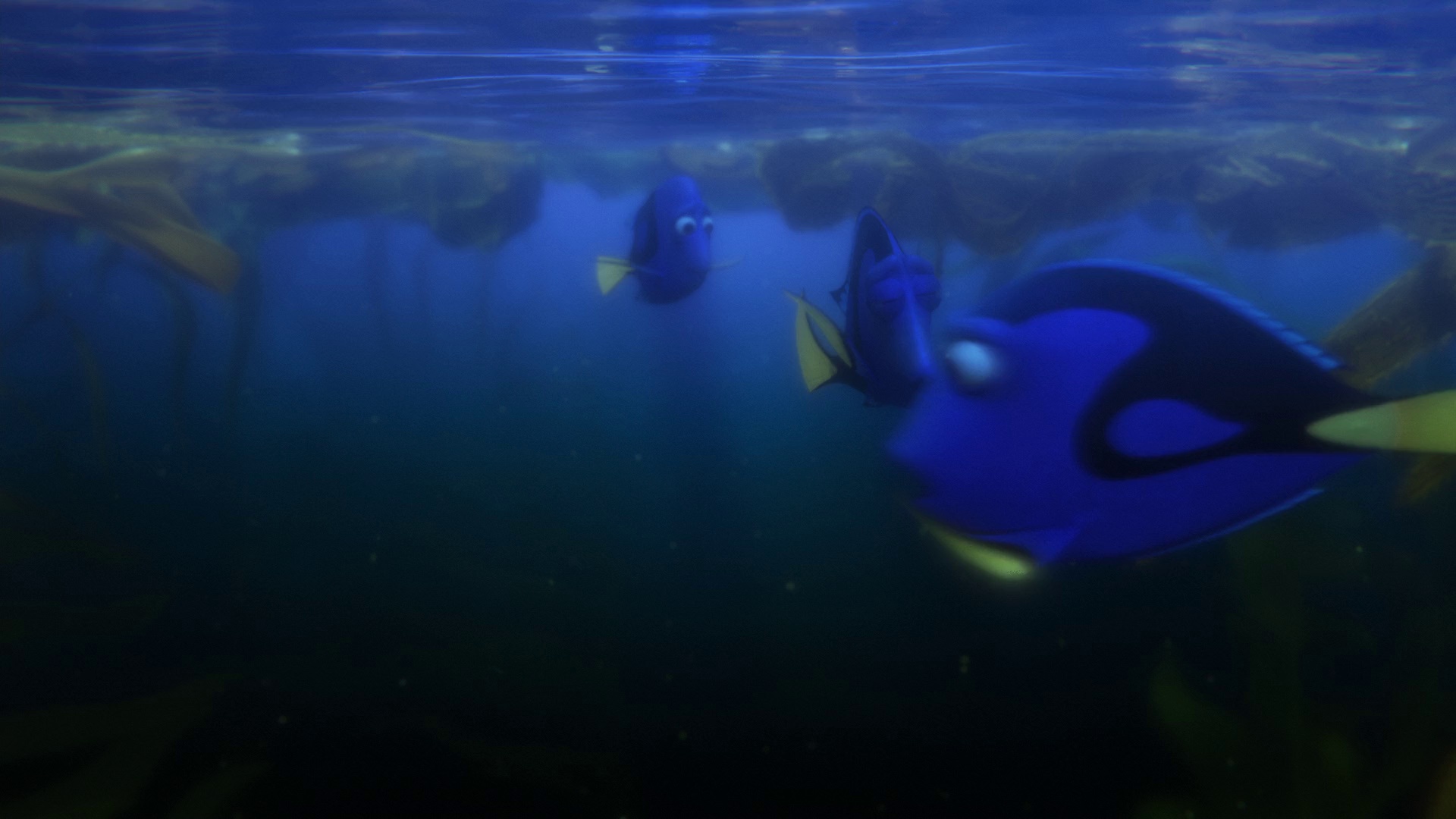 图片[6]-[BT下载][海底总动员2：多莉去哪儿][WEB-MKV/5.81GB][无字片源][1080P][流媒体][PandaQT]-影音屋