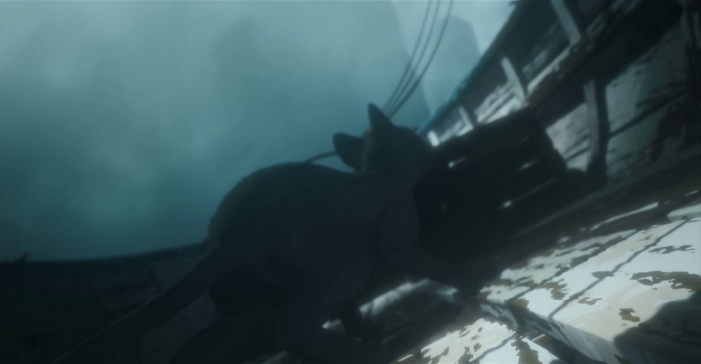 图片[6]-[BT下载][猫猫的奇幻漂流][WEB-MKV/8.52GB][无字片源][4K-2160P][H265编码][流媒体][PandaQT]-影音屋