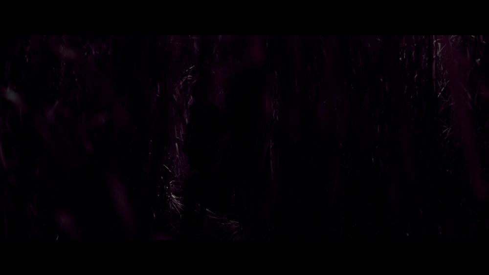 图片[3]-[BT下载][高草丛中][WEB-MKV/13.72GB][简繁英字幕][4K-2160P][杜比视界版本][H265编码][流媒体][QuickIO]-影音屋