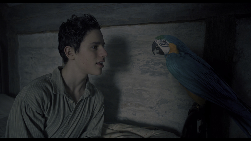 图片[3]-[BT下载][多力特的奇幻冒险][WEB-MKV/17.79GB][中文字幕][4K-2160P][HDR版本][H265编码][流媒体][PandaQT]-影音屋