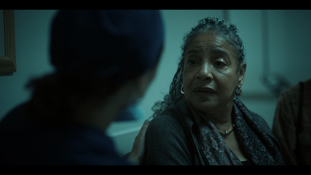 图片[2]-[BT下载][路得遇见波阿斯][WEB-MKV/8.34GB][简繁英字幕][4K-2160P][H265编码][流媒体][DreamHD]-影音屋